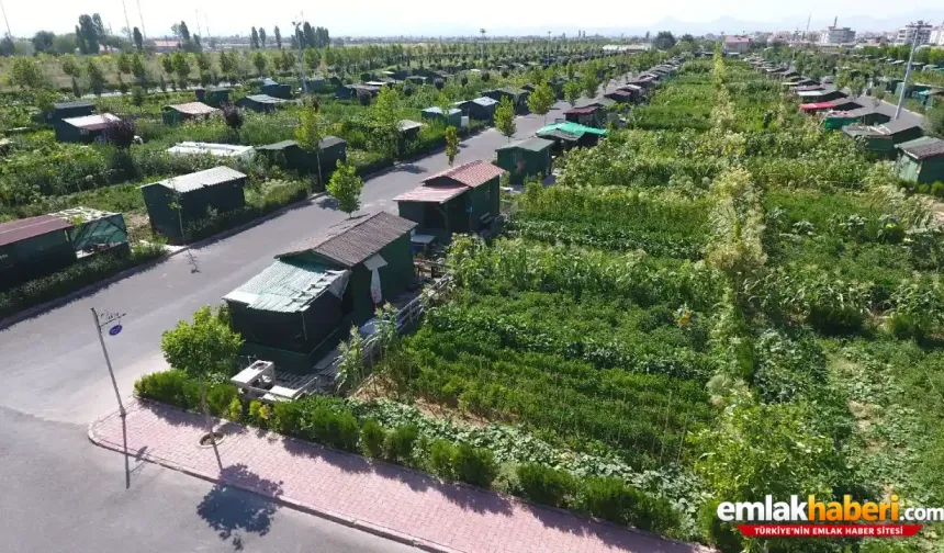 Türkiye geneli Hobi bahçesi sahiplerine kötü haber!