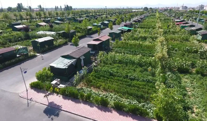 Hobi Bahçeleri: Kaçamak mı, İmdat Çağrısı mı?