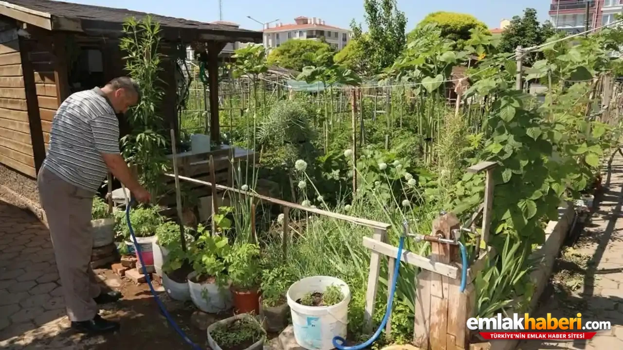 %22Tohumda Dışa Bağımlılık, Tarımda Çöküş Şimdi De Hobi Bahçeleri Hedefte%22