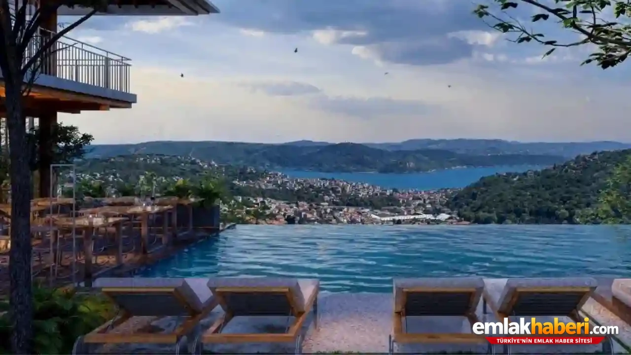 Boğaz Ve Orman Arasında Ayrıcalıklı Yaşam Denizkoru