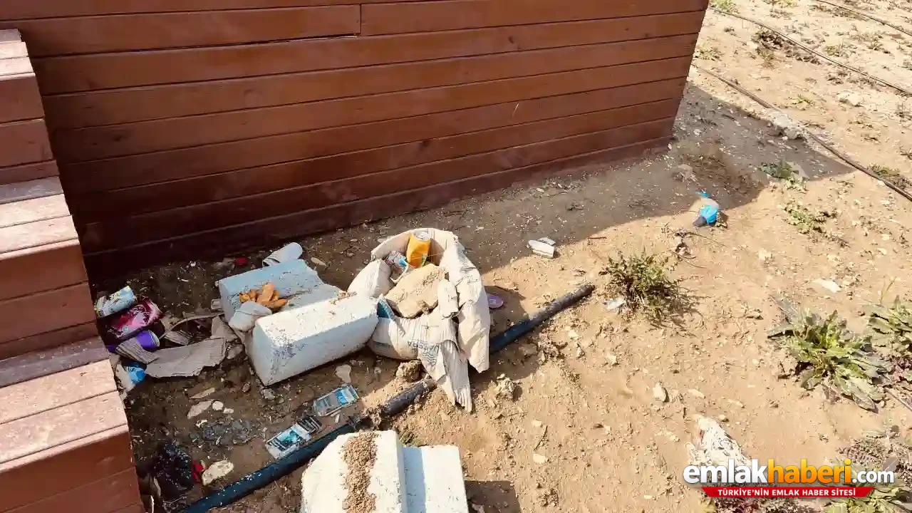 Çatalca'da Lavanta Bahçesi5