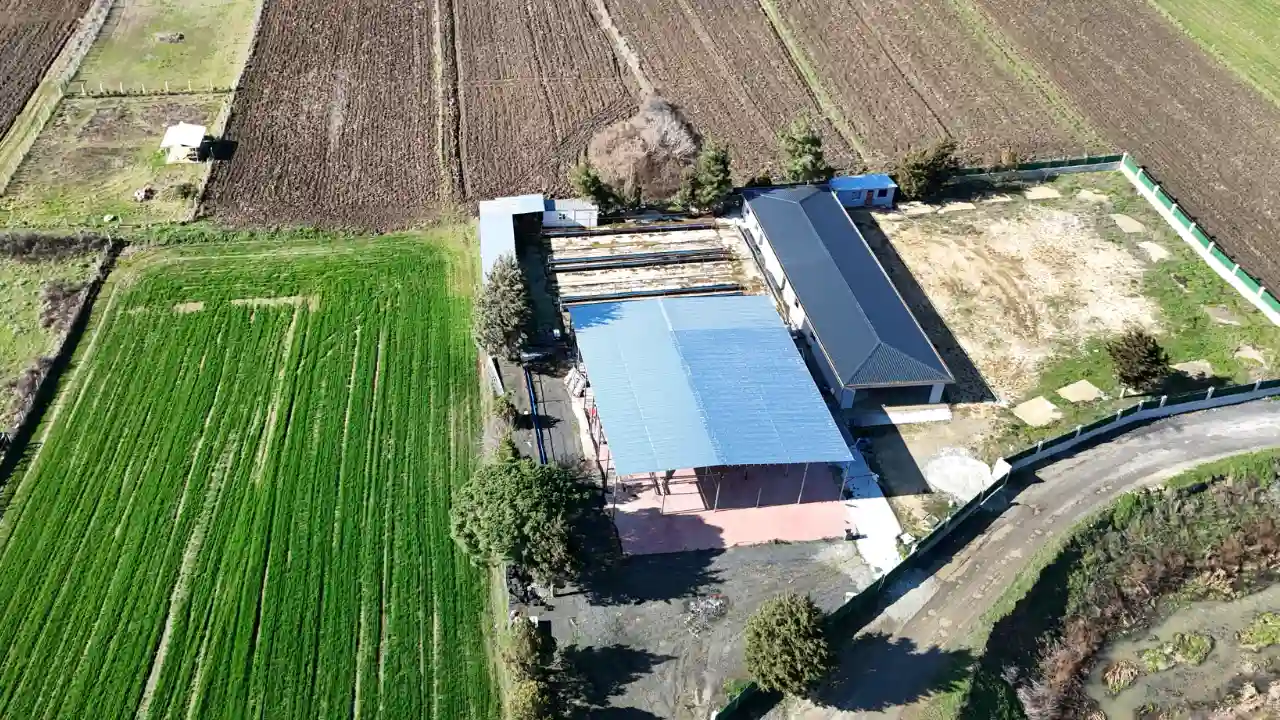 Yandaş Cemaat Kaçak Yap Çatalca Kabakça