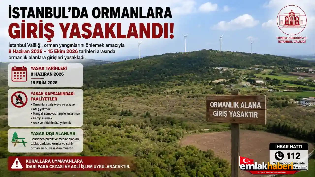 İstanbul’da Ormanlara Giriş Yasaklandı: 8 Haziran – 15 Ekim Arasında Sıkı Tedbirler Uygulanacak